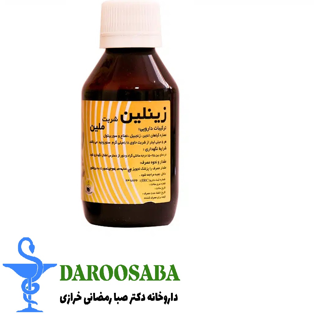 شربت زینلین سلامت گستر آرتیمان 120 میلی لیتر